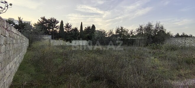 Satılır  torpaq 4.4 sot, Albalılıq q., photo 5 from 6