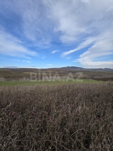 Satılır  torpaq 140 sot, photo 7 from 9