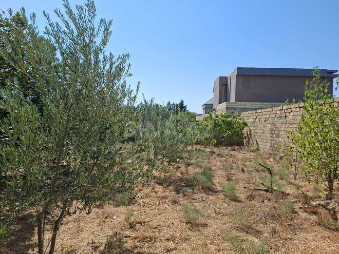 Satılır  torpaq 6 sot, Novxanı q., photo 3 from 5