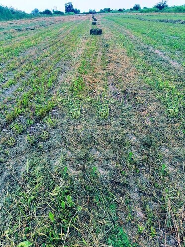 Satılır  torpaq 200 sot, photo 4 from 5