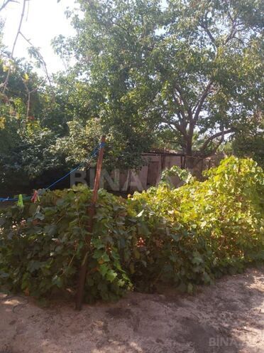 Satılır 4 otaqlı həyət evi/bağ evi 120 m², Novxanı q., photo 14 from 28
