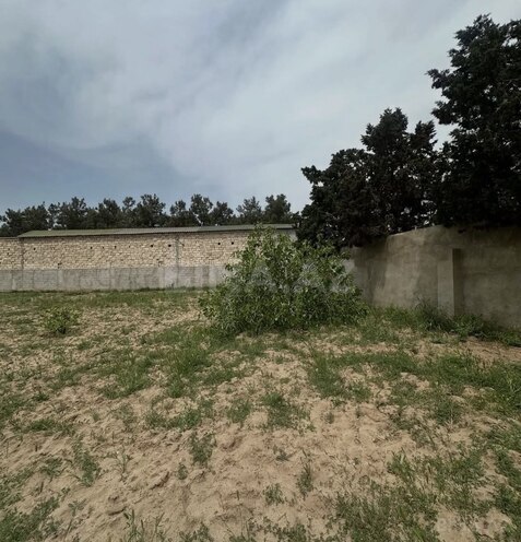 Продаётся  участок 9 сот, пос. Бадамдар, photo 4 from 6