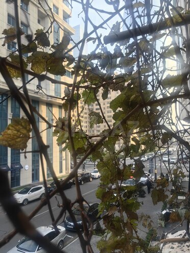 Сдаётся 2-комн. вторичка 90 м², м. 28 мая, photo 7 from 26