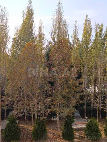 Satılır 3 otaqlı yeni tikili 76.2 m², Masazır q., photo 29 from 32