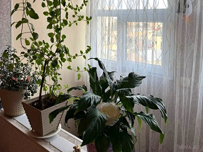 Продаётся 3-комн. вторичка 85 м², м. Кара Караев, photo 14 from 18