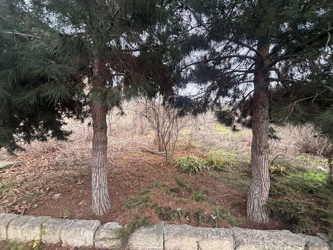 Satılır  torpaq 6 sot, Mərdəkan q., photo 6 from 8