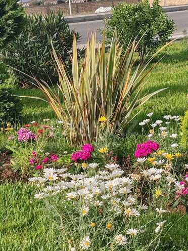 Satılır 5 otaqlı həyət evi/bağ evi 360 m², Novxanı q., photo 1 from 11