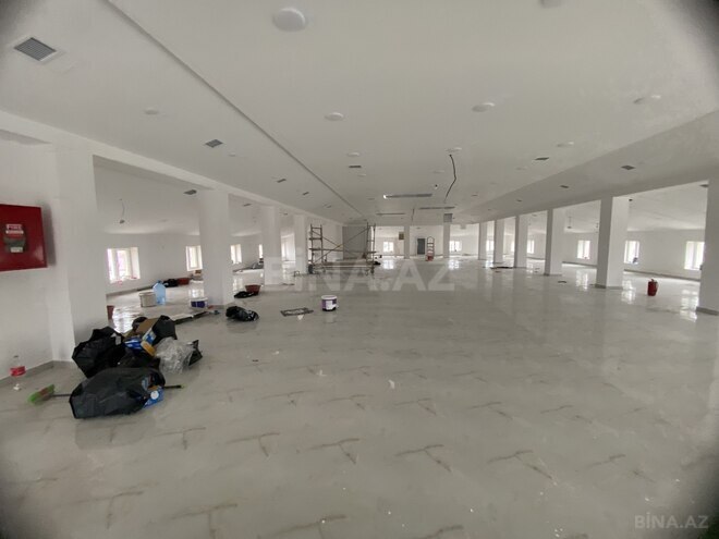 Сдаётся  объект 1 780 м², пос. Бина, photo 9 from 17