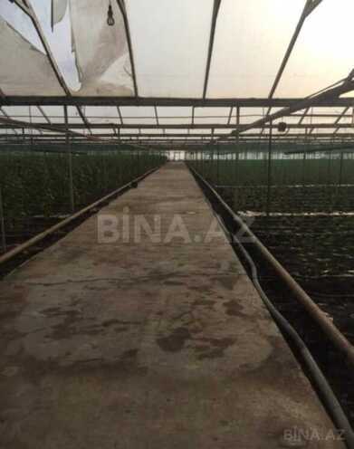 Satılır  obyekt 500 m², Zirə q., photo 6 from 7