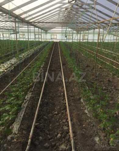 Satılır  obyekt 500 m², Zirə q., photo 3 from 7