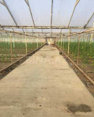 Satılır  obyekt 500 m², Zirə q., photo 4 from 7