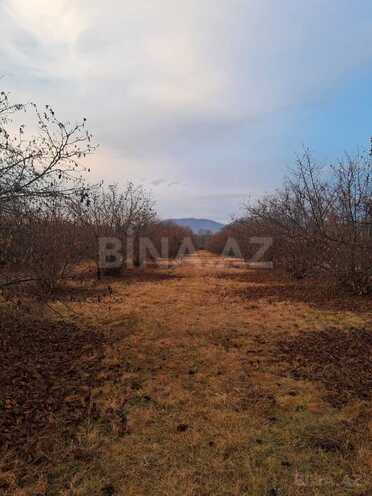 Продаётся  участок 600 сот, photo 9 from 10