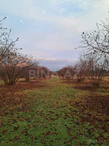 Продаётся  участок 600 сот, photo 6 from 10