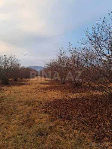 Продаётся  участок 600 сот, photo 8 from 10