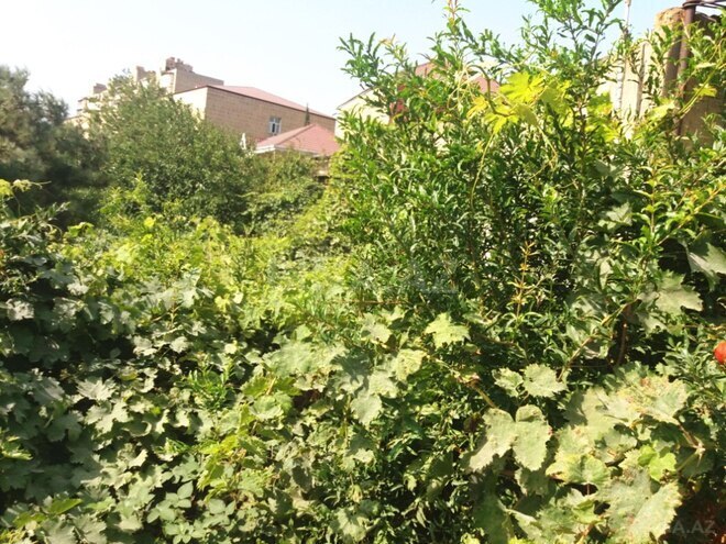 Satılır  torpaq 6 sot, Azadlıq Prospekti m., photo 4 from 8