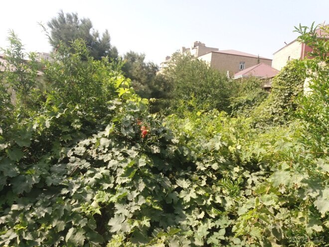 Satılır  torpaq 6 sot, Azadlıq Prospekti m., photo 3 from 8