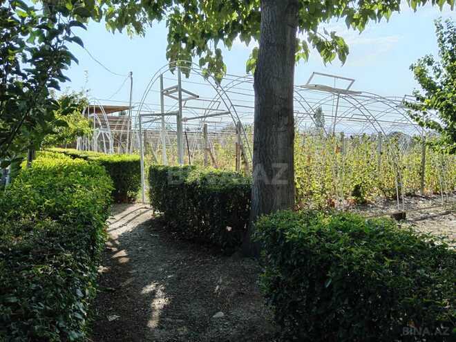 Satılır  obyekt 6 000 m², photo 8 from 13