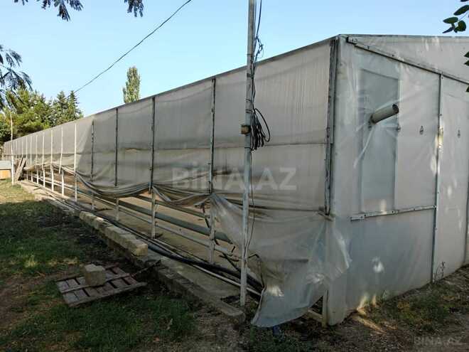 Satılır  obyekt 6 000 m², photo 11 from 13