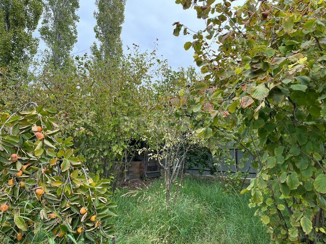 Продаётся  участок 7 сот, photo 3 from 8