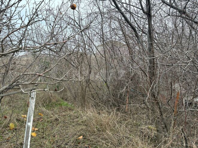 Продаётся  участок 10 сот, Сураханский  р., photo 11 from 12