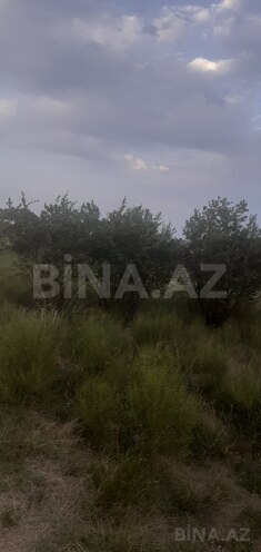 Продаётся  участок 20 сот, Пираллахи р., photo 4 from 6