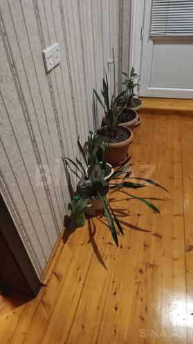 Продаётся 5-комн. дом/дача 200 м², м. Гянджлик, photo 8 from 24