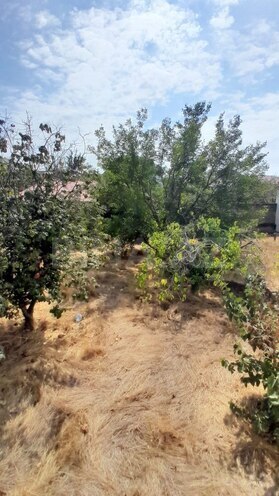 Продаётся  участок 7.5 сот, пос. Бадамдар, photo 3 from 7