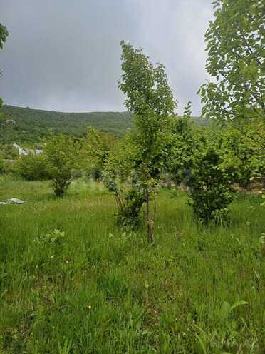 Продаётся  участок 12 сот, photo 3 from 8