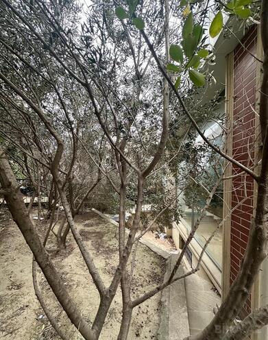 Satılır  obyekt 200 m², İnşaatçılar m., photo 7 from 22