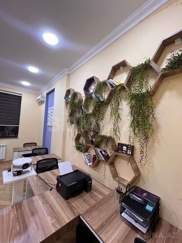 Сдаётся 3-комн. офис 107 м², м. Элмляр Академиясы, photo 9 from 18