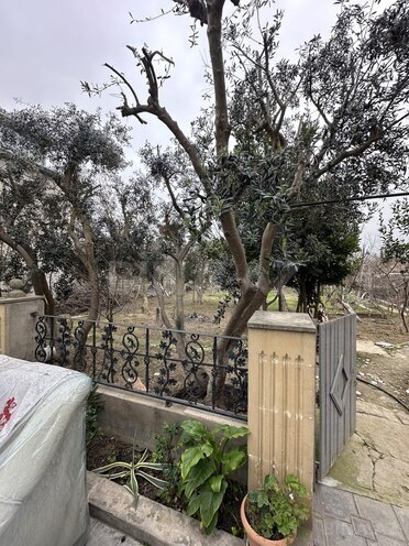 Satılır  torpaq 5 sot, Buzovna q., photo 4 from 9