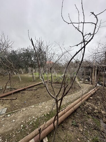 Satılır  torpaq 5 sot, Buzovna q., photo 5 from 9