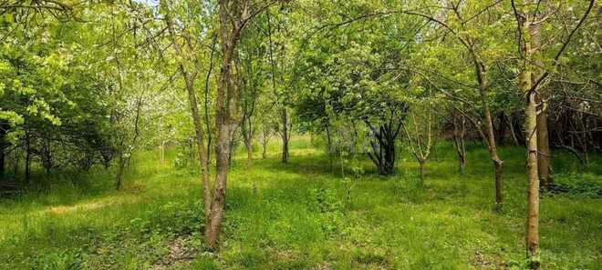 Сдаётся 3-комн. дом/дача 100 м², photo 24 from 32