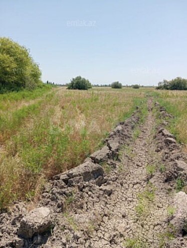 Продаётся  участок 522 сот, photo 3 from 5