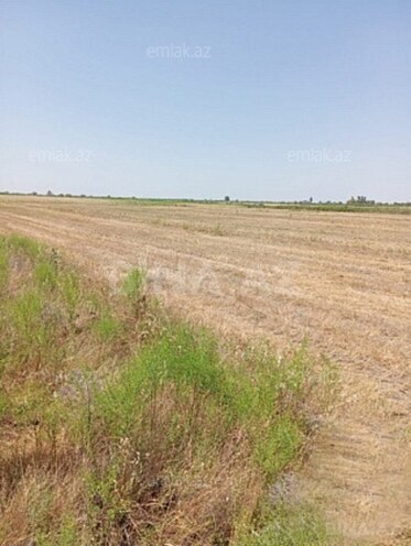 Продаётся  участок 522 сот, photo 4 from 5