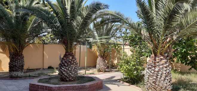 Satılır 6 otaqlı həyət evi/bağ evi 280 m², Buzovna q., photo 6 from 25