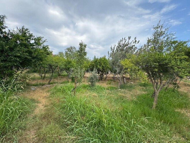 Продаётся  участок 34 сот, пос. Зых, photo 9 from 10