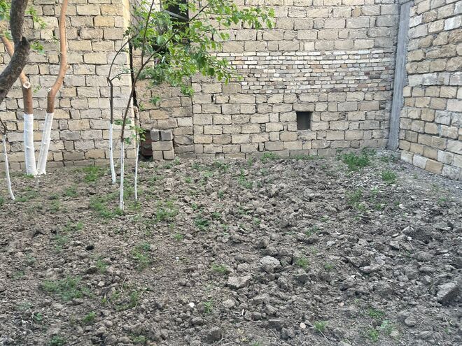 İcarəyə verilir 6 otaqlı həyət evi/bağ evi 187 m², Nəsimi m., photo 4 from 22