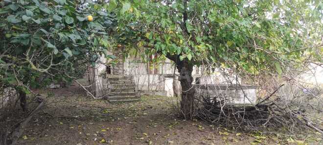 Продаётся  участок 12 сот, пос. Бильгях, photo 6 from 14