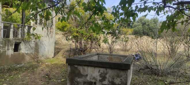 Продаётся  участок 12 сот, пос. Бильгях, photo 7 from 14