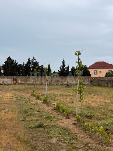 Продаётся  участок 41 сот, пос. Вишнёвка, photo 5 from 10