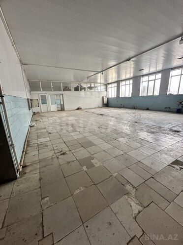 Сдаётся  объект 1 700 м², пос. Биладжары, photo 11 from 32