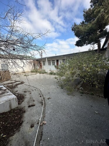 Сдаётся  объект 1 700 м², пос. Биладжары, photo 17 from 32