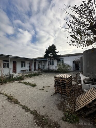 Сдаётся  объект 1 700 м², пос. Биладжары, photo 28 from 32