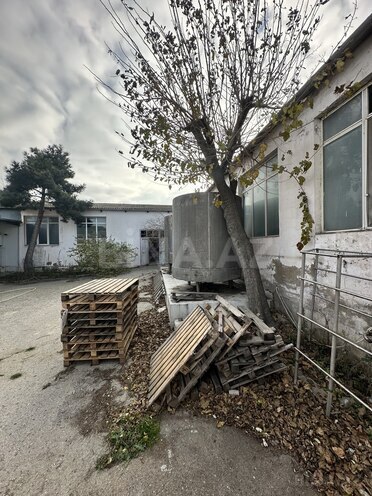 Сдаётся  объект 1 700 м², пос. Биладжары, photo 27 from 32