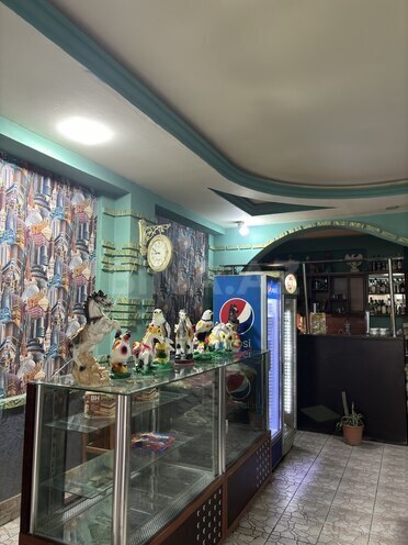 Satılır  obyekt 400 m², photo 5 from 22