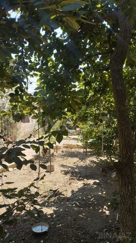 Продаётся  участок 4 сот, пос. М. Расулзаде, photo 4 from 15