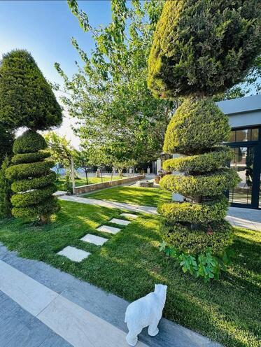 İcarəyə verilir 5 otaqlı həyət evi/bağ evi 500 m², Şüvəlan q., photo 5 from 12