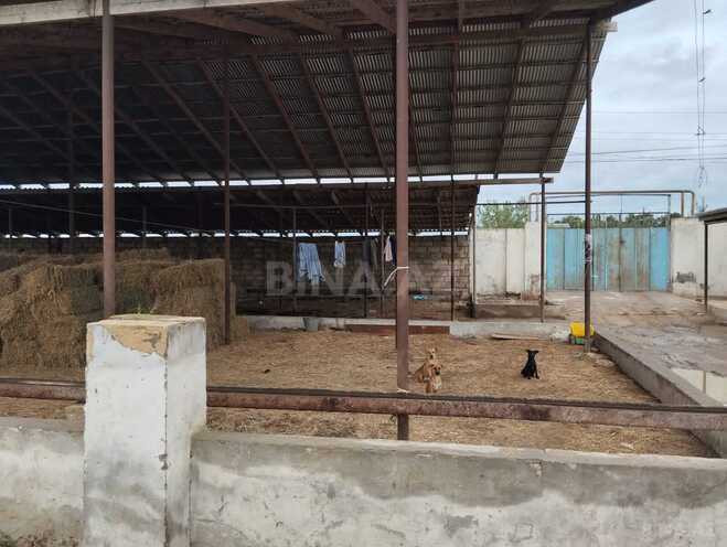 Продаётся  объект 18 м², пос. Маштаги, photo 3 from 12