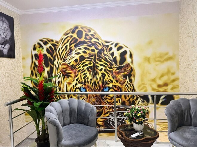 Продаётся 5-комн. дом/дача 220 м², пос. Масазыр, photo 12 from 23